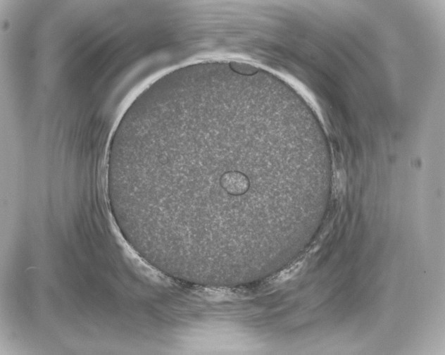 X0000085810911200704091603