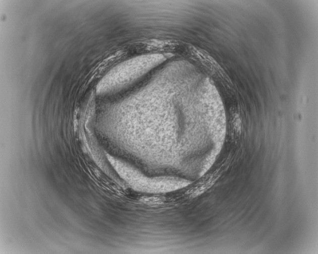 X0000085810914200704091602