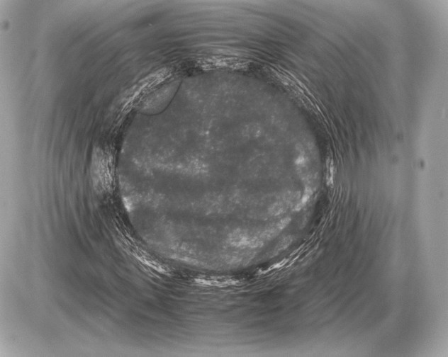 X0000085810915200704091602