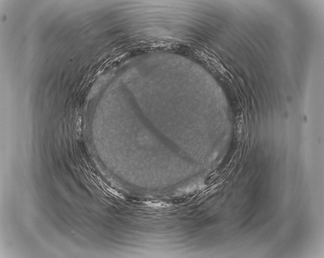 X0000085810916200704091602