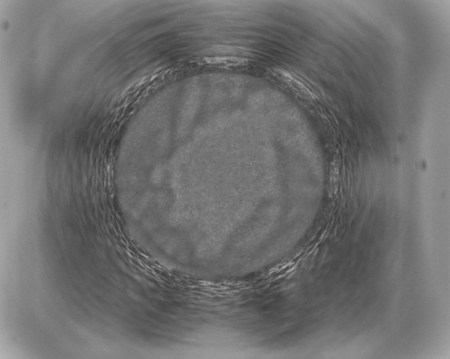 X0000085810917200704091602