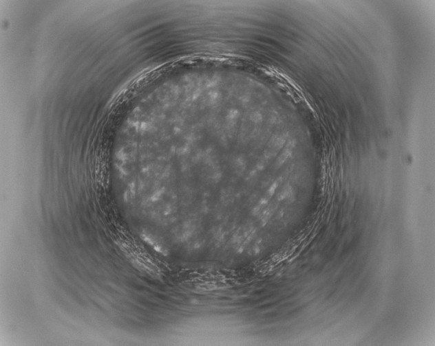 X0000085810919200704091603