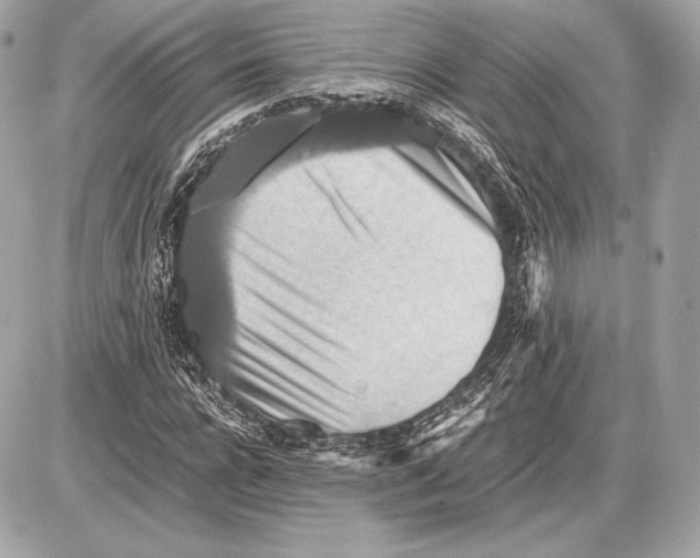 X0000085810920200704091603