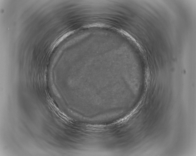 X0000085810921200704091603