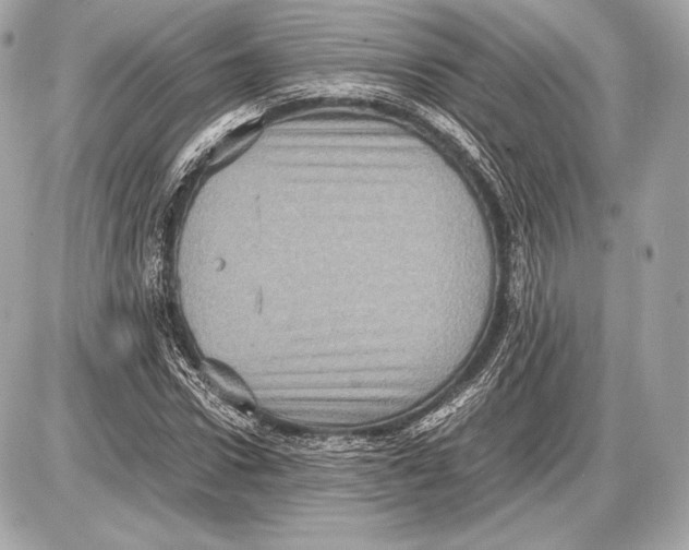 X0000085810922200704091603