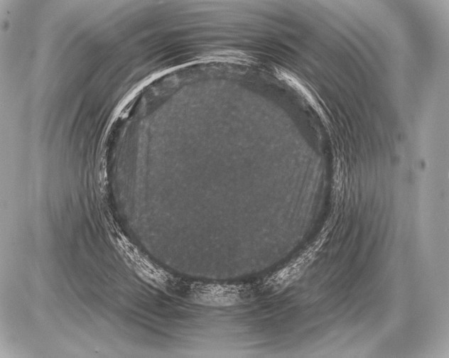 X0000085810923200704091603