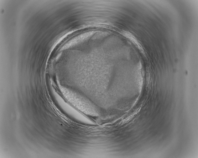 X0000085810924200704091603