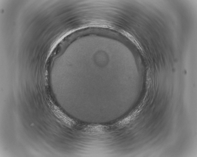 X0000085810926200704091603