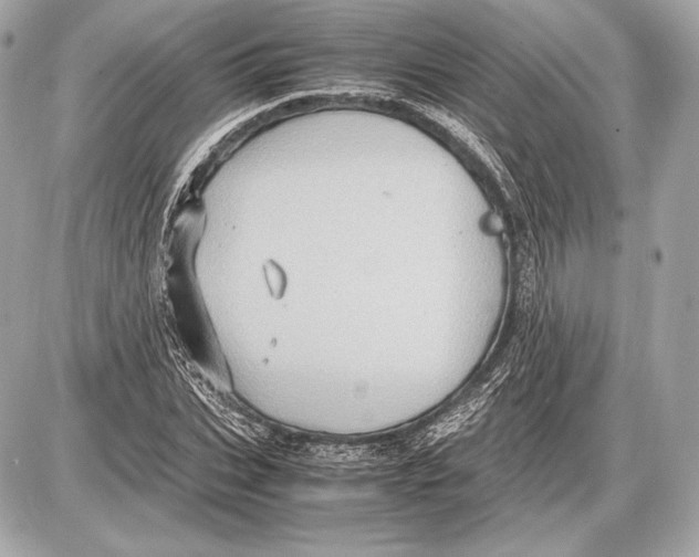 X0000085810927200704091603