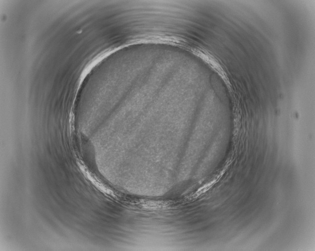 X0000085810928200704091603