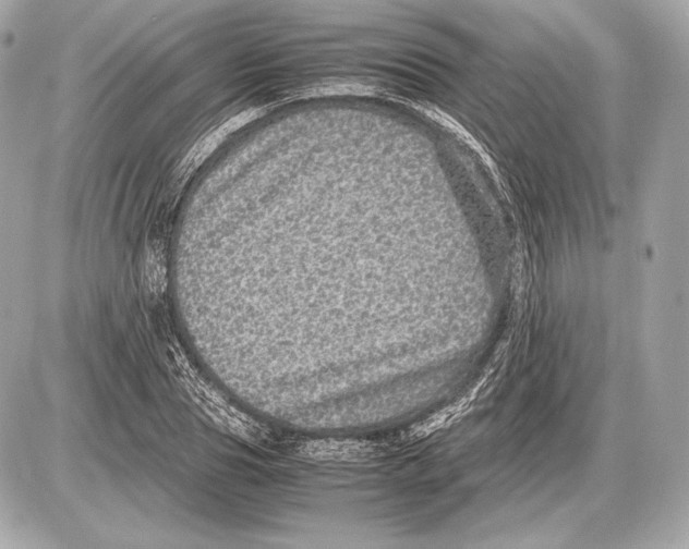 X0000085810929200704091603