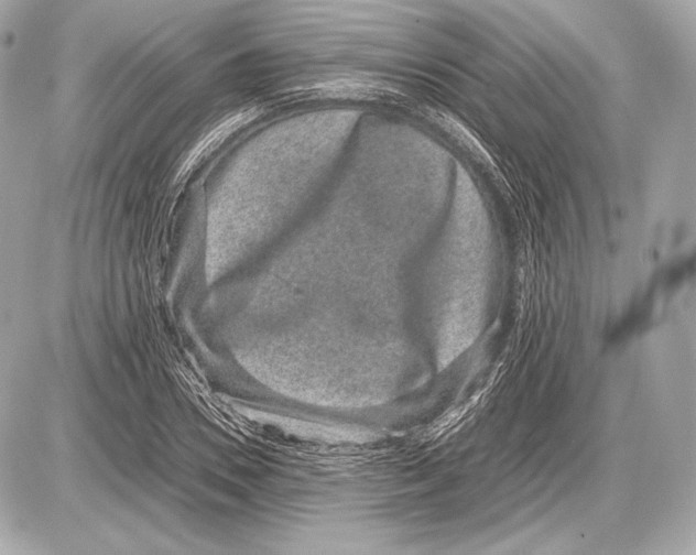 X0000085810930200704091603