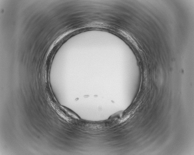 X0000085810931200704091603