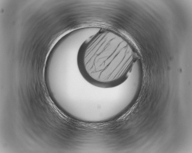 X0000085810932200704091603