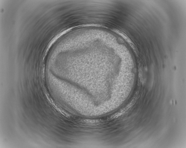 X0000085810933200704091603