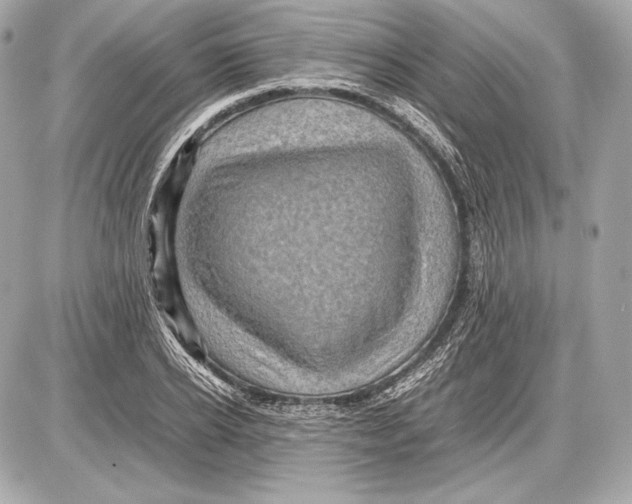 X0000085810934200704091603