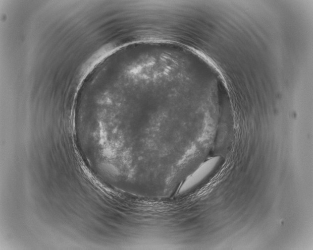 X0000085810935200704091603