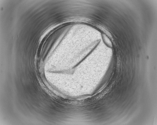 X0000085810936200704091603