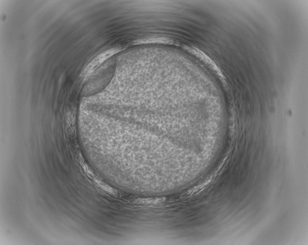 X0000085810937200704091603