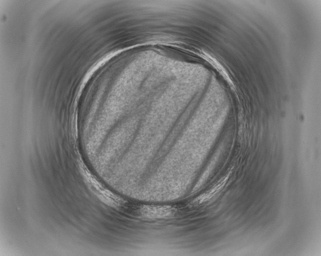 X0000085810939200704091603