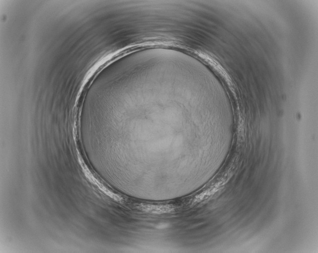 X0000085810941200704091603