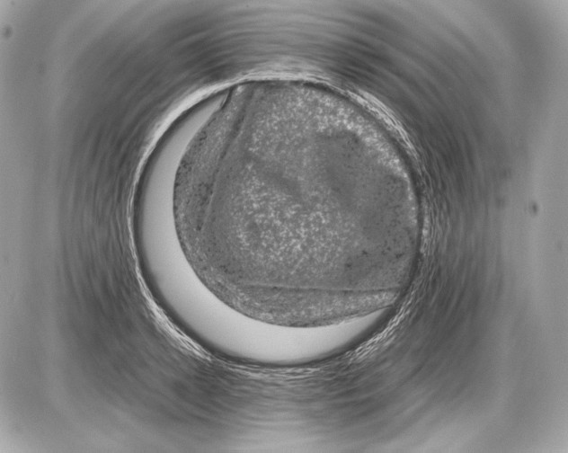 X0000085810942200704091603