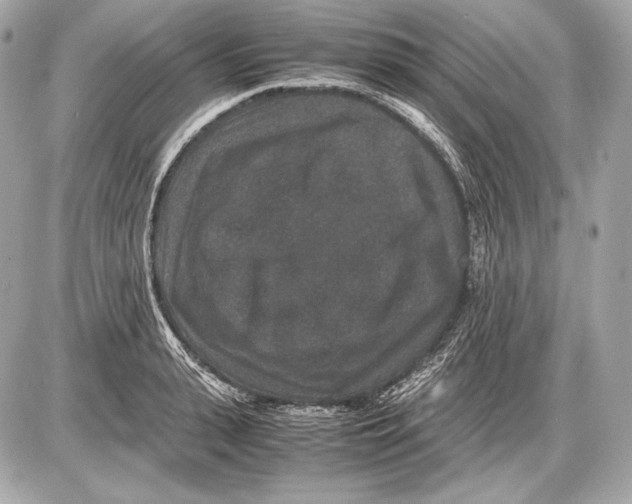 X0000085810943200704091603