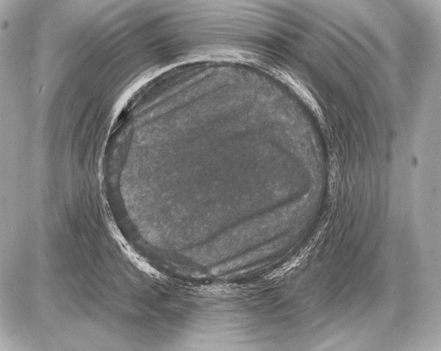 X0000085810944200704091603