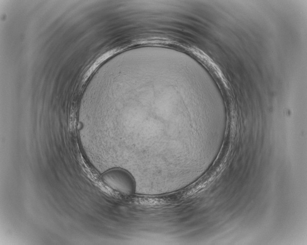 X0000085810945200704091603