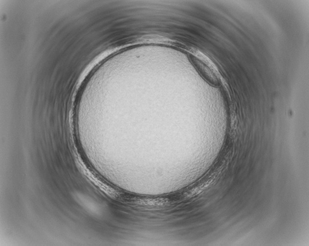 X0000085810947200704091603