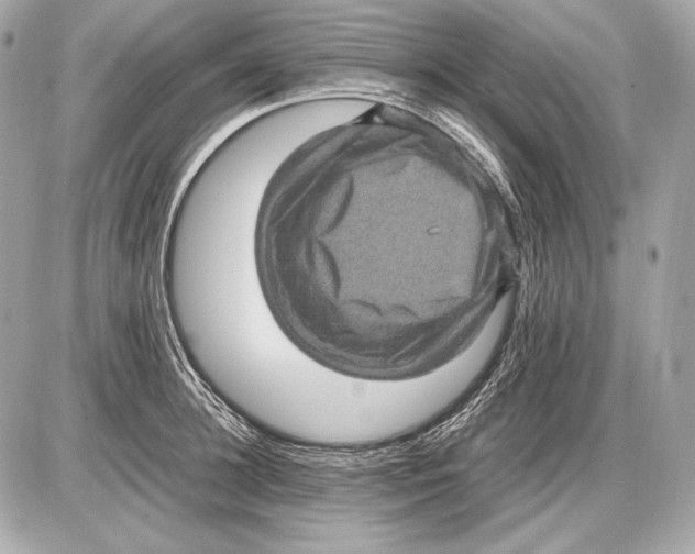 X0000085810948200704091603