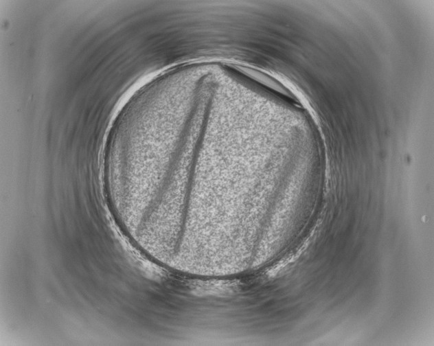 X0000085810949200704091603