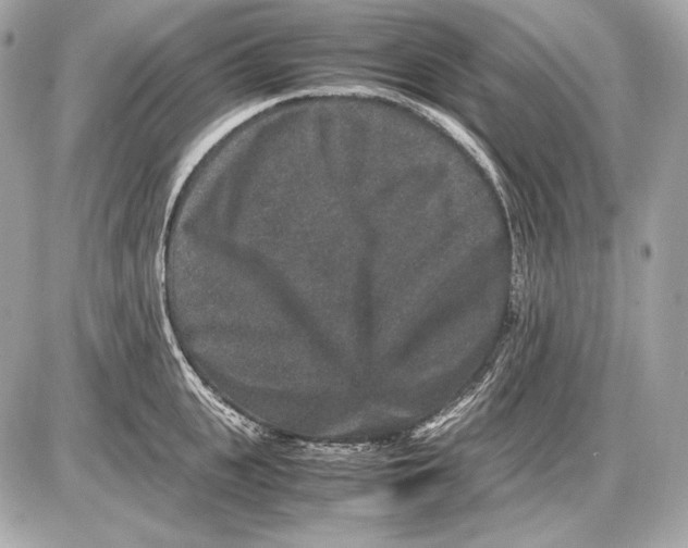 X0000085810951200704091603