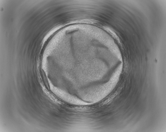 X0000085810952200704091603