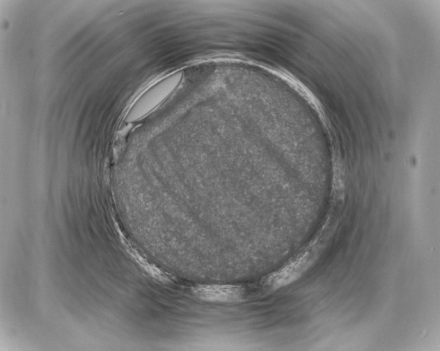 X0000085810953200704091603