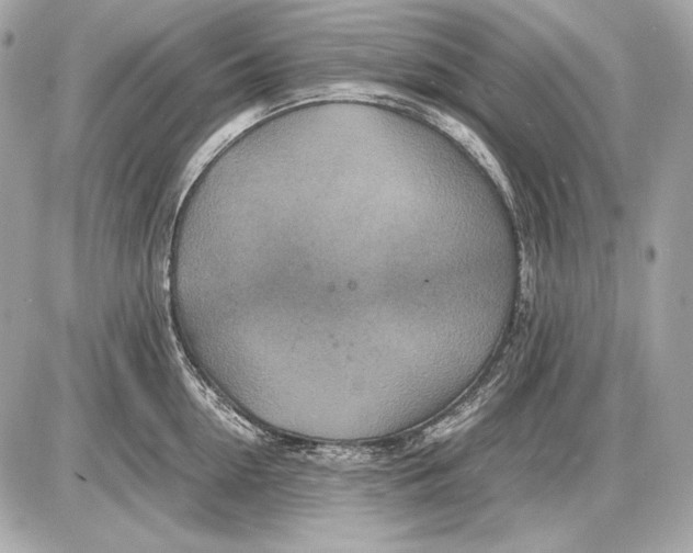 X0000085810954200704091603