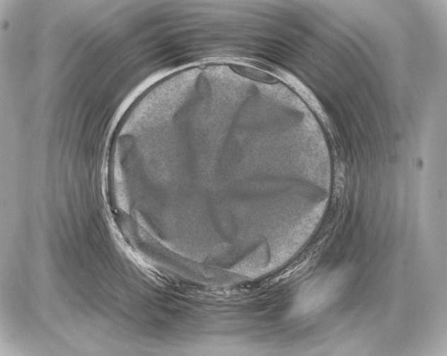 X0000085810955200704091603