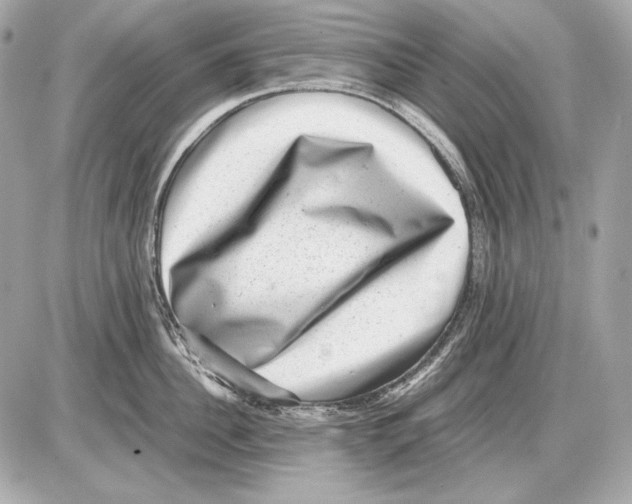 X0000085810956200704091603