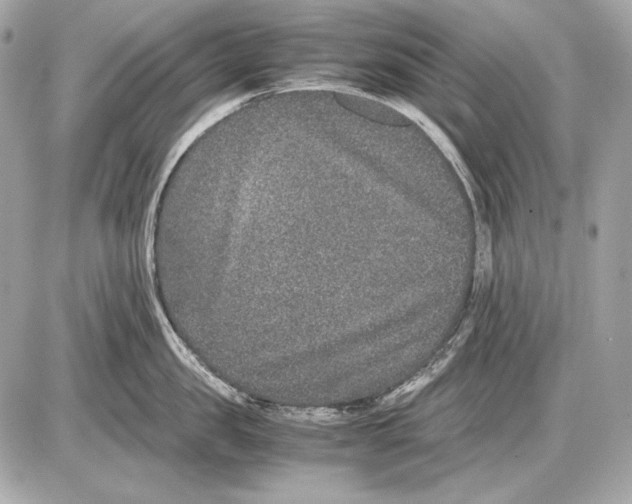 X0000085810957200704091603