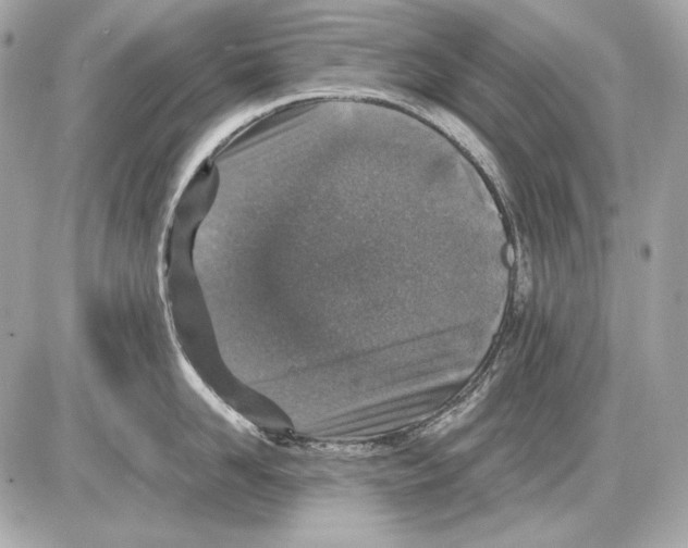 X0000085810958200704091603