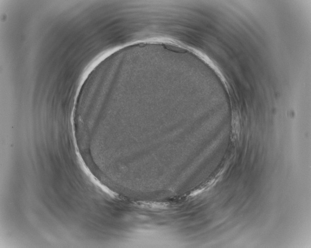 X0000085810959200704091603