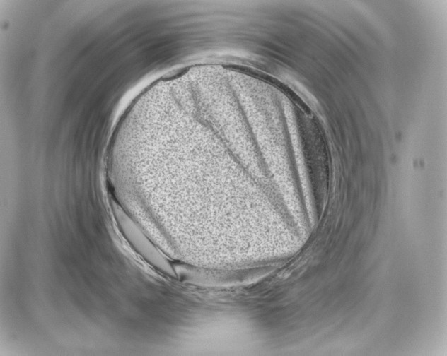 X0000085810960200704091603