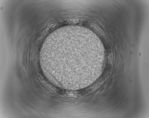 X0000085810961200704091602