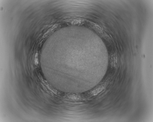 X0000085810962200704091602