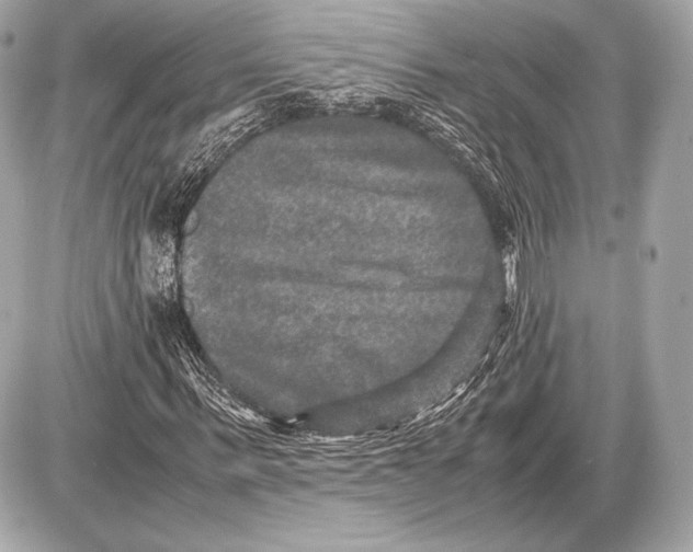 X0000085810963200704091602