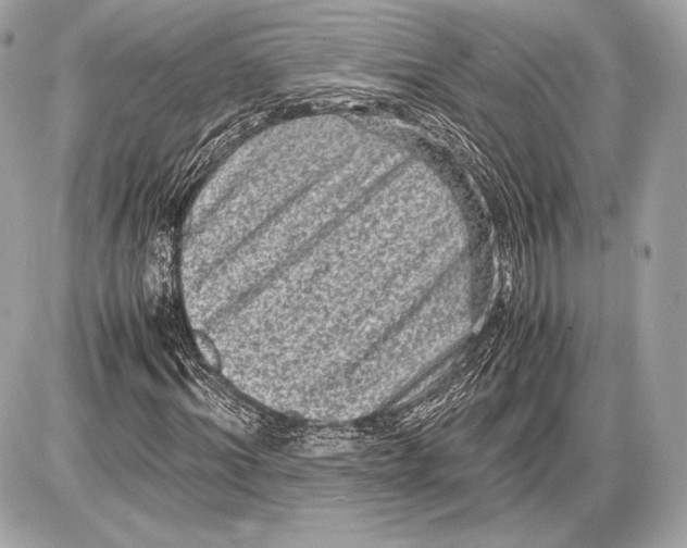 X0000085810964200704091602