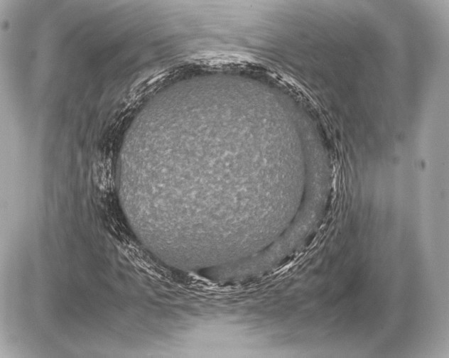 X0000085810965200704091602