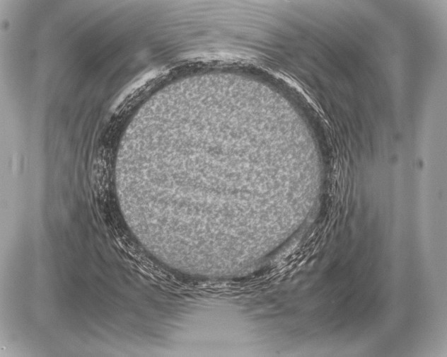 X0000085810967200704091602