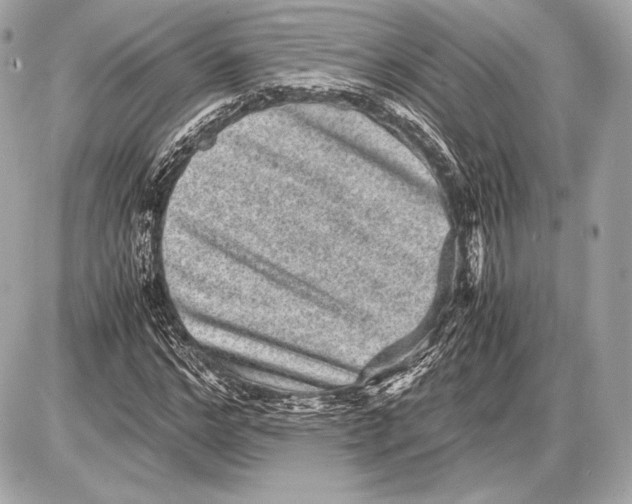 X0000085810968200704091602