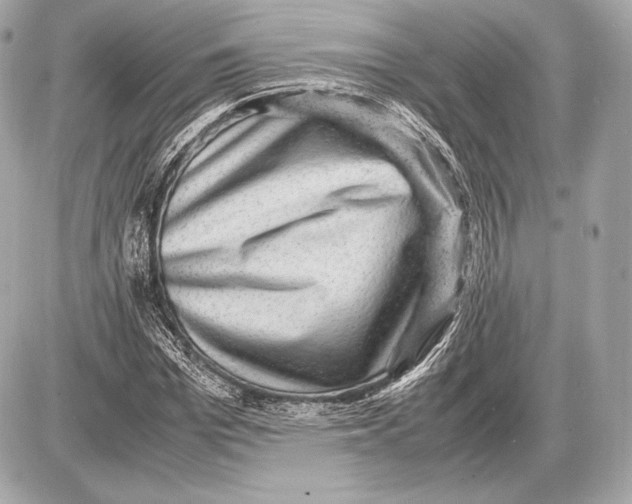 X0000085810969200704091602